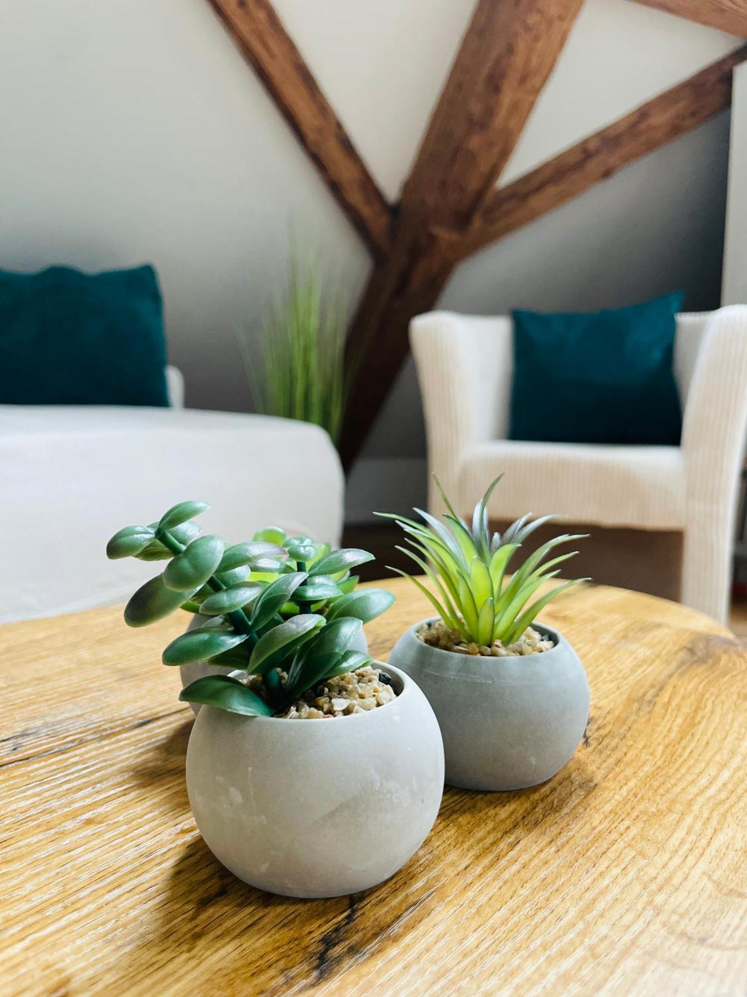 Tägerwilen Appartement Villa Seeliebe מראה חיצוני תמונה